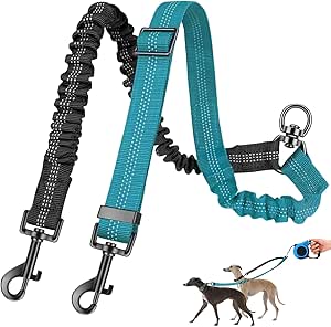 1 x Tangle Free 360° Rotating Splitter Double Lead for Two Dogs, Double Dog Lead, Adjustable Shock Absorbing Bungee Reflective Lead for Dogs Small Medium and Large Running Training