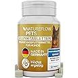 Tierarzt24 Agil Forte Plus specifically supports the joints of dogs - contains glucosamine, chondroitin sulphate, MSM and hyaluronic acid - 65 tablets
