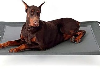 Bedsure Dog Bed Grey Indoor and Outdoor Garden for Outdoor Camping Raised Dog Bed Size XL / L / M 124 x 90 / 110 x 80 / 90 x 63 cm Height 20 cm, grey