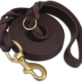 Joytale Leather Dog Lead, Durable Leather Lead for Dogs with Sturdy Brass Hook, Soft and Durable, Suitable for Small, Medium and Large Dogs (Brown, 180 cm x 2 cm)