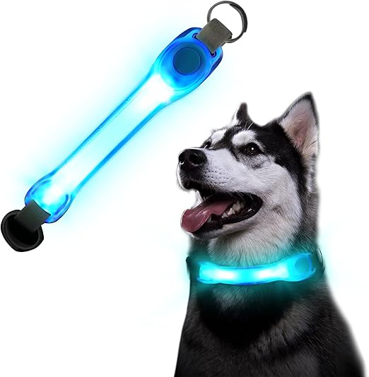 flintronic LED Light Collar Dog Collar, Luminous Dog Collar, Safety LED Light Strip for Dogs Cats, LED Light Flashing Light with Velcro Fastening, Bright Safety for the Night