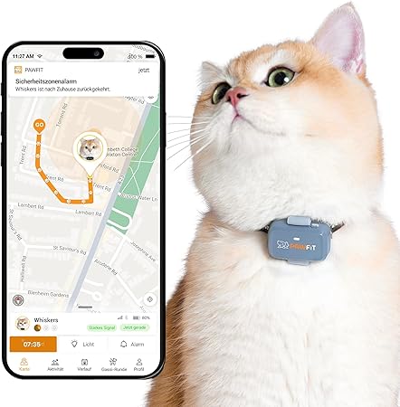 Pawfit Lite GPS Tracker with 4G for Cats | Real Time Tracking | Activity Monitoring | Location History | Unlimited Range | Includes Click Closure Collar | Lilac Grey