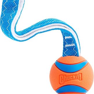 Chuckit Ultra Tug Dog Toy, Medium, 6 cm
