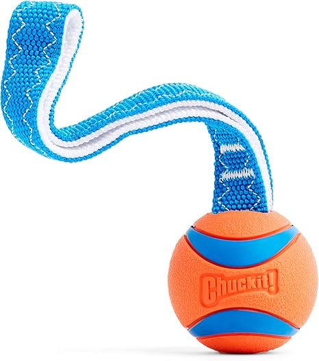 Chuckit Ultra Tug Dog Toy, Medium, 6 cm