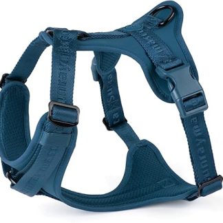 Sunraymascota No Pull Dog Harness with Soft Lycra Padding, Breathable Comfort Mesh Vest, Adjustable Size for Small, Medium and Large Breeds, Safe (Prussian Blue, M)