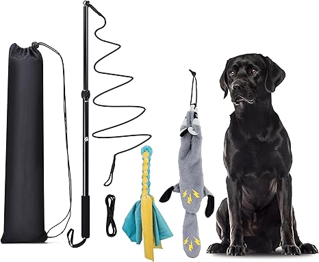 KOXXUD Martin Rütter Professional Stimulation Angel for Small, Medium, Large Dogs, for Ultimate Fun and Physical Load (Rope Strips + Beaver)