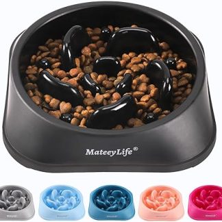 Mateeylife Dog Bowl, Anti Sling Bowl Dog for Medium and Large Dogs, Slow Feeder Dog Promotes Healthy Digestion, 1 Piece Medium, Black