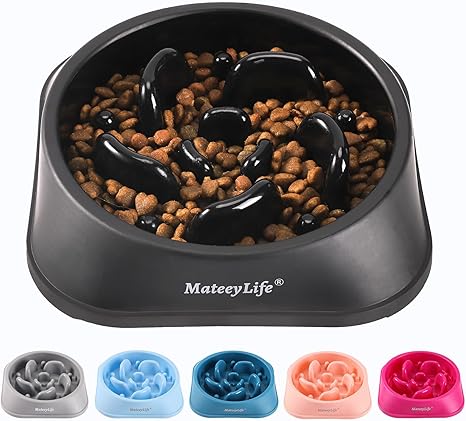 Mateeylife Dog Bowl, Anti Sling Bowl Dog for Medium and Large Dogs, Slow Feeder Dog Promotes Healthy Digestion, 1 Piece Medium, Black
