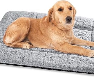 Baodan Dog Bed for Large Dogs, Washable, 90 x 60 cm, Super-Soft Cat Bed with Non-Slip Underside, Grey