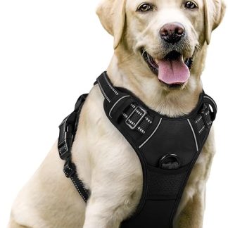 rabbitgoo Dog Harness for Medium Dogs, Anti-Pull Dog Harness with Control, No-Pull, Adjustable Harness for Large Dogs, Breathable, Reflective Stripes, Chest Harness, Safe Walking, Black, L