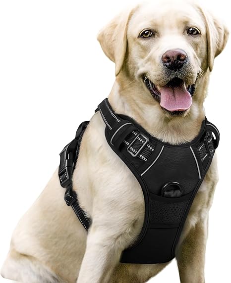 rabbitgoo Dog Harness for Medium Dogs, Anti-Pull Dog Harness with Control, No-Pull, Adjustable Harness for Large Dogs, Breathable, Reflective Stripes, Chest Harness, Safe Walking, Black, L