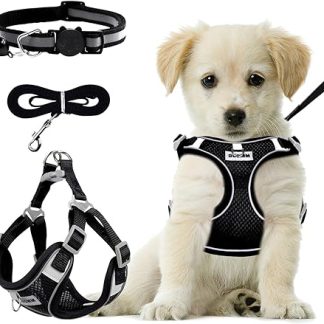 RAFIYU Anti-Pull Dog Harness Small Medium Dogs Breathable Harness Dog Harness Luminous Puppy Harness Light Harness for Dogs Safety Harness Dog Chest Harness (S)