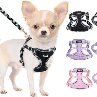 Eyein Dog Harness Small Dogs with Lead, Breathable Air Mesh Chest Harness with Reflective Stripes, Adjustable Step-in Harness for Extra Small/Small Medium Dogs, Black, XXS