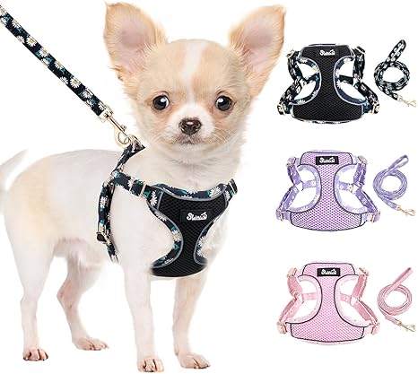 Eyein Dog Harness Small Dogs with Lead, Breathable Air Mesh Chest Harness with Reflective Stripes, Adjustable Step-in Harness for Extra Small/Small Medium Dogs, Black, XXS