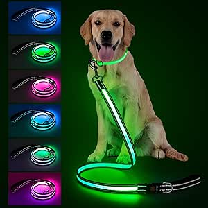 1.2 m LED Dog Lead, Luminous Dog Lead with 7 Light Modes, Reflective, Glow in The Dark, Luminous on Both Sides, USB Rechargeable, Padded Handle, Night Safety for Small and Large Dogs