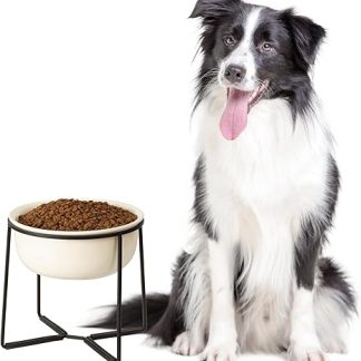 Dog Bowl Raised Ceramic Large Dogs - Feeding Bowl Dog with Non-Slip Stand - Feeding Bowl Water Bowl for Dogs - Dog Bowls for Medium to Large Dogs - Bowl Dog - Drinking Bowl Dog - 1600 ml