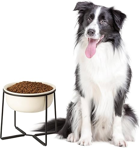 Dog Bowl Raised Ceramic Large Dogs - Feeding Bowl Dog with Non-Slip Stand - Feeding Bowl Water Bowl for Dogs - Dog Bowls for Medium to Large Dogs - Bowl Dog - Drinking Bowl Dog - 1600 ml