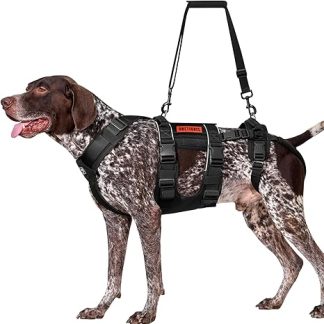 OneTigris SKYEWALKER Dog Harness, Adjustable Lifting Harness with 2 Handles for Support and Rehabilitation, Suitable for Medium and Large Dogs, Black, XL