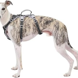 Huntboo Dog Safety Harness, Non-Slip, Escape Proof, Reflective Harness with Handle, Breathable, Durable, Adjustable Vest for Medium Dogs, Black, M