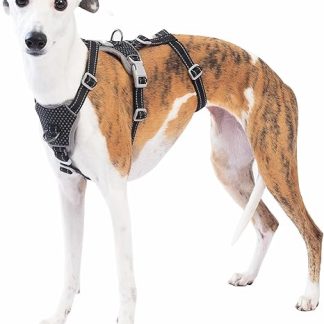 Huntboo Safety Harness Dog Escape Proof, Panic Harness for Dogs, Anti-Pull Dog Harness, Reflective, Adjustable, Lightweight Vest for Small, Medium and Large Pets (Black, M)