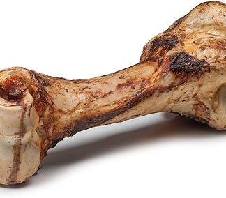 Dibo Mammoth Bones, approx. 40 cm, 1 piece large natural chew snack or treat for between meals, dog food, quality chewing item without chemicals from Dibo
