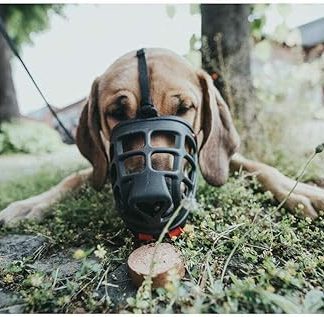 Hunter Albury Dog Muzzle with Removable Poison Bait Protection - Black, 5