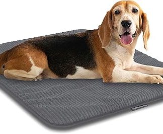 MyBestBuddy Dog Mat Grey Basic 90 x 70 cm L with Soft Fabric Extra for Pets - Washable at 40°C - Allergy Friendly (100% Polyester) - Dog Cushion or Dog Bed for Large Dogs 90 x 70 cm