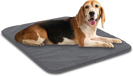 MyBestBuddy Dog Mat Grey Basic 90 x 70 cm L with Soft Fabric Extra for Pets - Washable at 40°C - Allergy Friendly (100% Polyester) - Dog Cushion or Dog Bed for Large Dogs 90 x 70 cm
