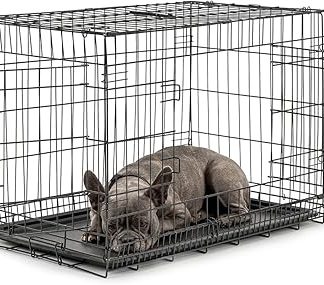 dibea Transport Cage for Dogs and Small Animals, Sturdy Box Made of Strong Wire, Foldable/Collapsible, 2 Doors, with Base Tray
