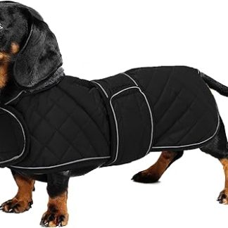 Geyecete Warm Winter Coat for Dachshunds, Outdoor Jacket with Plush Lining, with Adjustable Opening for Harness and Lead, for Medium and Small Dachshunds, Black, M