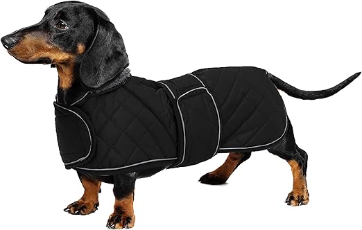 Geyecete Warm Winter Coat for Dachshunds, Outdoor Jacket with Plush Lining, with Adjustable Opening for Harness and Lead, for Medium and Small Dachshunds, Black, M