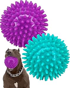 Pweituoet 2 Pack 4.5 Inch Heavy Duty Squeaky Dog Balls for Medium and Large Dogs, Spikey Dog Ball Toy for Clean Teeth and Training, Large Dog Toy for Aggressive