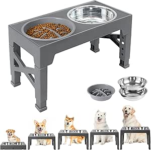 Raised Dog Bowls, 5 Adjustable Heights (8 cm, 22 cm, 25 cm, 28 cm, 31 cm), with 2 Stainless Steel Bowls and 1 Slow Feeder Bowl for Small, Medium and Large Dogs, Non-Slip Dog Bowl, BPA-Free Plastic