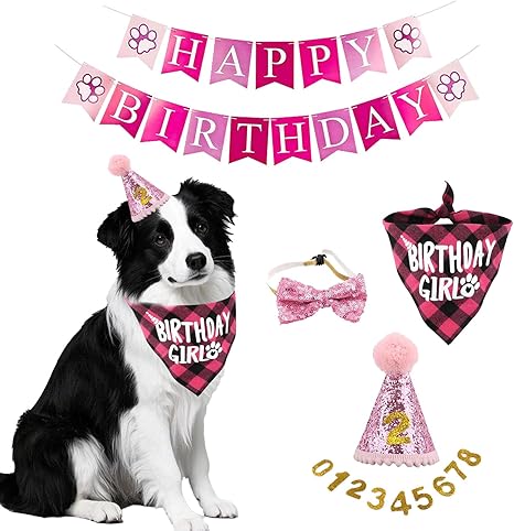 Dog Birthday Hat Bandana Set, 5 Pieces Dog Birthday Bandana Hat with 10 Bling Numbers and Happy Birthday Banner for Small, Medium and Large Dogs, Dog Birthday Decoration (Pink)