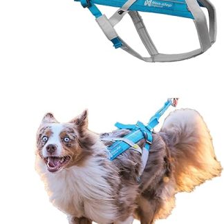 Non-stop dogwear FREEMOTION Harness 5.0 111 Blue/Grey Dog Harness for All Sports, Size: 6