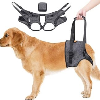 Carrying Aid Dog - Portable Dog Harness for the Rear Legs, Adjustable Dog Lift Harness, Dog Carrying Harness for Elderly, Disabled & Those with Mobility Problems - Grey (L)