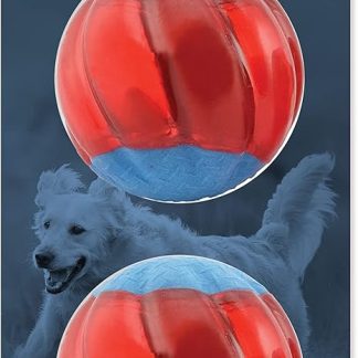 Zeus Duo Balls with LED Interactive Dog Toy, Large