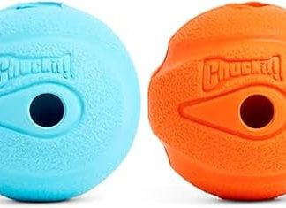 Chuckit The Whistler Medium 2-Pack