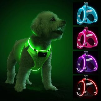 Light Up Dog Harness, Reflective LED Dog Harness Rechargeable, Waterproof Flashing Light Up Harness Light for Small Puppy Medium Dogs with 3 Glowing Modes for Night Walking, Green-S