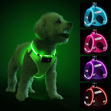 Light Up Dog Harness, Reflective LED Dog Harness Rechargeable, Waterproof Flashing Light Up Harness Light for Small Puppy Medium Dogs with 3 Glowing Modes for Night Walking, Green-S