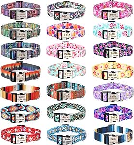 Moonpet Customisable Dog Collar, Engraved, for Small, Medium, Large, Extra Large Dogs