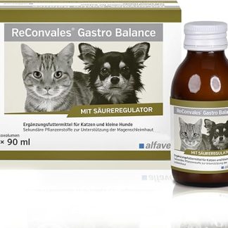 alfavet, ReConvales Gastro Balance for Cats and Dogs, for Caring for the Gastric Mucosa with Acidity Regulator, Supplementary Feed, 3 x 90 ml