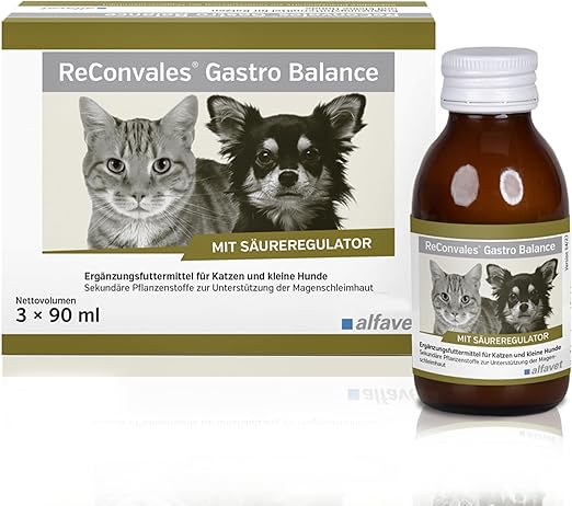 alfavet, ReConvales Gastro Balance for Cats and Dogs, for Caring for the Gastric Mucosa with Acidity Regulator, Supplementary Feed, 3 x 90 ml