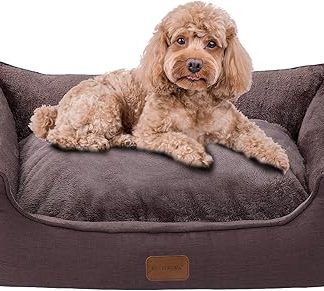 OUPEIWAWA Orthopaedic Dog Bed for Small and Medium Dogs, 62 x 50 x 17 cm, Super Soft and Cosy, Dog Basket with High Edge, Removable & Washable Cover, Non-Slip, Dark Brown, Indoor/Car