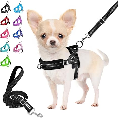 Eyein No-Pull Dog Harness with Lead, Soft Padded, Reflective, Adjustable, Chest Harness for Puppies, Small Dogs, Large Dogs, Pets, Cats (Black, XXS)