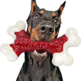 ChienBox Indestructible: Dog Toy for Aggressive Chewers, Dog Toy for Large Dogs, Indestructible Dog Toy Made of Nylon with Delicious Beef Flavour for Training