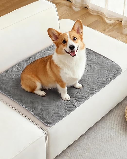 VICBINLY Waterproof Dog Blanket, Sofa Protection, Car Cover for Pets, Dog Blanket, Outdoor Robust Dog Mat as Protection for Sofa and Bed, Non-Slip Underside, 80 x 60 cm, Grey CTH015G