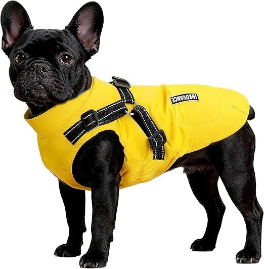 Flow fire Winter Dog Coat Waterproof for Large Dogs, Dog Jacket with Belly Protection, Dog Winter Coat Reflective (XL)