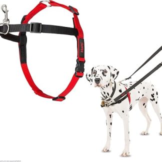 HALTI Front Control Anti-Pull Harness, Size Medium - Prevents Your Dog From Pulling on the Lead, Gently Control Your Dog Over the Chest Area, Easy Adjustment and Use