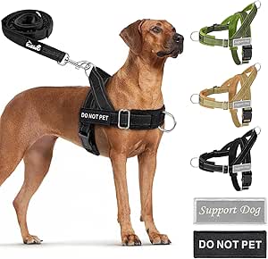 Eyein Dog Harness with Lead for Large, Medium Dogs, Soft Padded Chest Harness with 2 Lead Clips, Reflective & Lightweight Anti-Pull Harness for Walks Training, Black, L